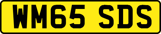 WM65SDS