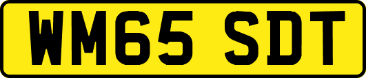 WM65SDT