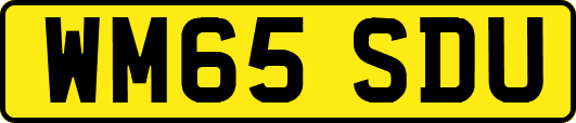 WM65SDU