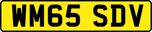 WM65SDV