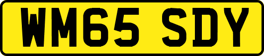 WM65SDY