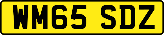 WM65SDZ