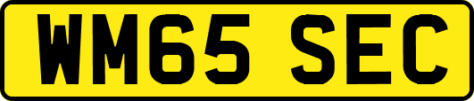 WM65SEC