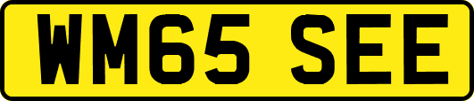 WM65SEE