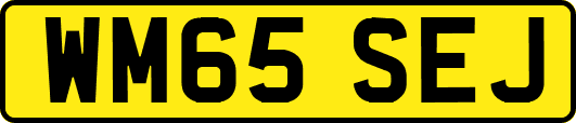 WM65SEJ