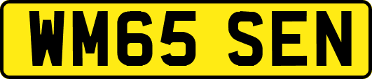 WM65SEN