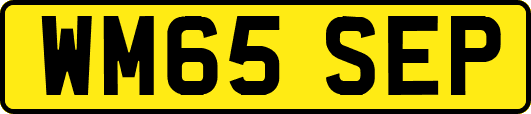 WM65SEP