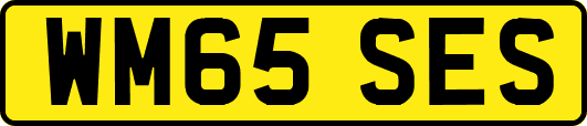 WM65SES