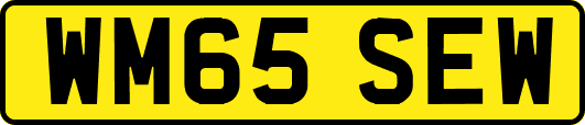 WM65SEW