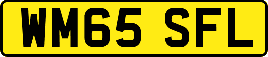WM65SFL