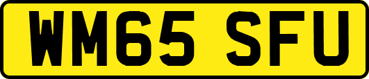 WM65SFU