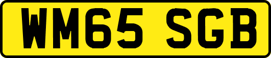 WM65SGB