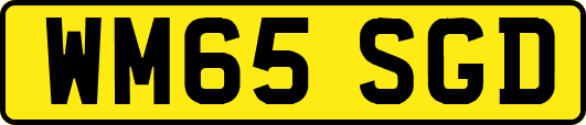 WM65SGD