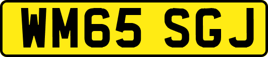 WM65SGJ