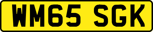 WM65SGK