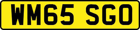 WM65SGO