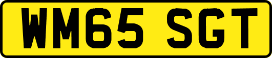 WM65SGT