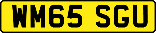 WM65SGU