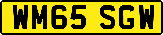 WM65SGW