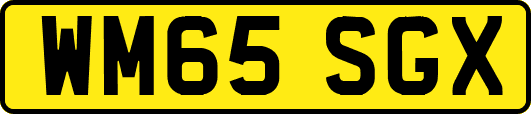 WM65SGX