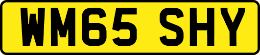 WM65SHY