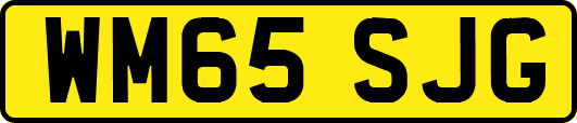 WM65SJG