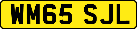 WM65SJL