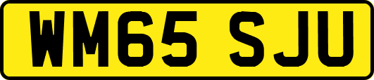 WM65SJU
