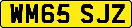 WM65SJZ