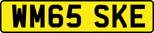 WM65SKE