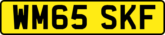 WM65SKF