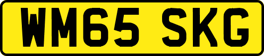 WM65SKG