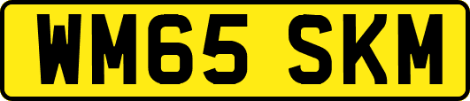 WM65SKM