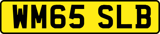 WM65SLB