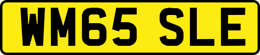 WM65SLE