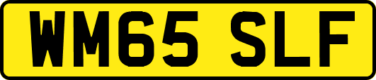 WM65SLF