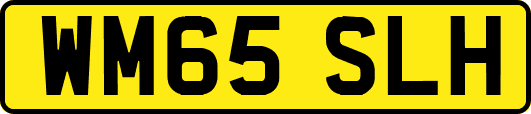 WM65SLH