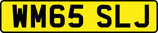 WM65SLJ