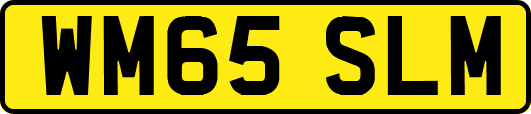 WM65SLM
