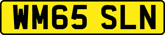 WM65SLN