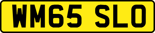 WM65SLO