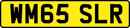 WM65SLR