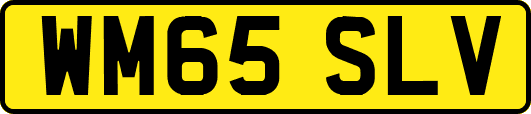 WM65SLV