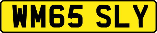 WM65SLY