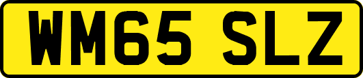 WM65SLZ