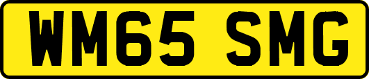 WM65SMG