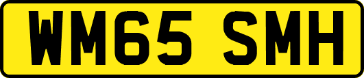 WM65SMH