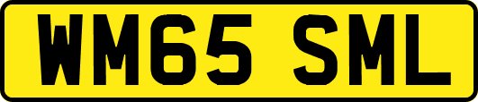 WM65SML