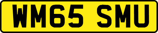 WM65SMU