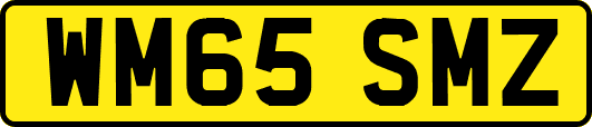 WM65SMZ